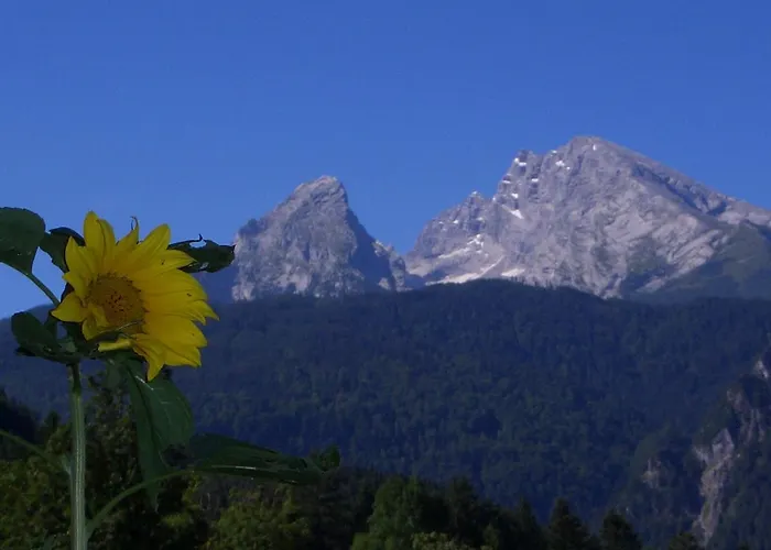 Ingrid Schillmeier Schönau am Königssee